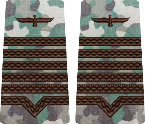 GRADE COMBAT TERESTRU MAISTRU MILITAR PRINCIPAL Aviația Română (Forțele Aeriene )